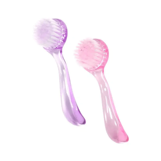 Brosse à Poussière avec Manche